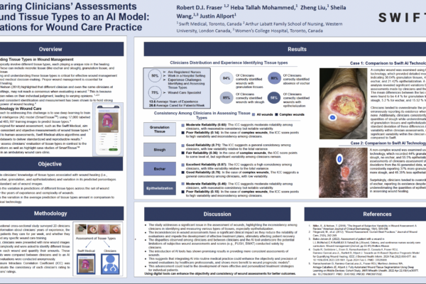 Comparing Clinicians' Assessments of Wound Tissue Types to an AI Model - Implications for Wound Care Practice