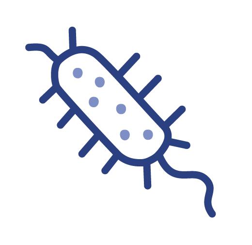 Bacteria icon