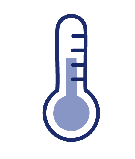 Thermometer icon